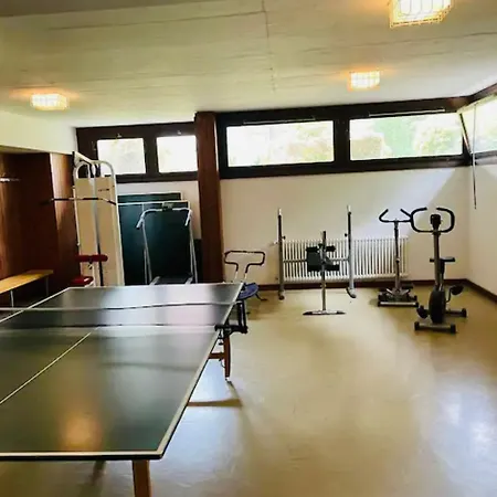 Lugano Lakefront - Private & Pool *
